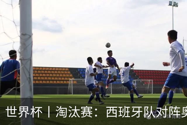 世界杯丨淘汰赛：西班牙队对阵奥地利队