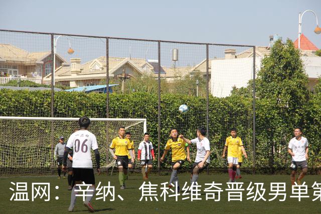 温网：辛纳、焦科维奇晋级男单第三轮 张帅、王欣瑜出局